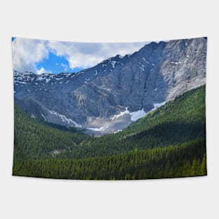 Rockies. Tapestry