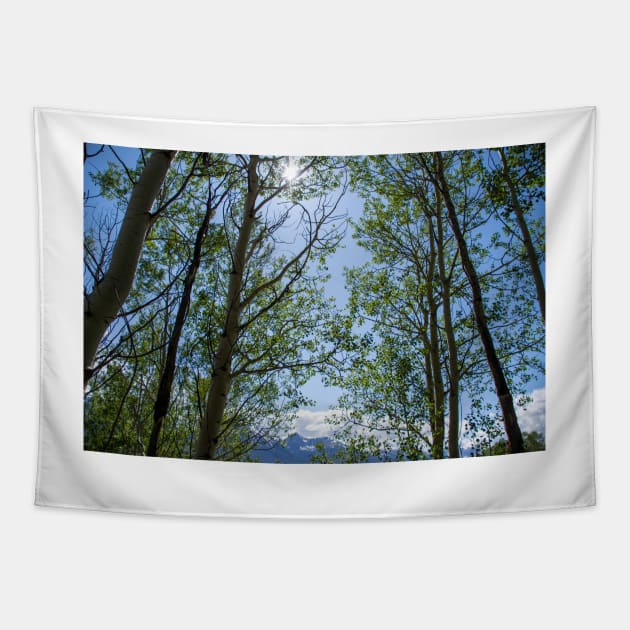 Colorado Mountain 5 Tapestry by photosbyalexis