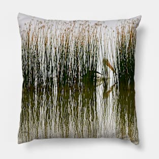 Pelican Hideout Pillow