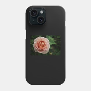 Delicate Pink Rose Phone Case