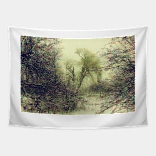 Winter colors Tapestry