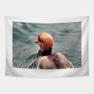 Kolbenente (Netta rufina) - Red-crested Pochard Tapestry