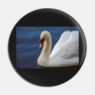 Swan lake Pin