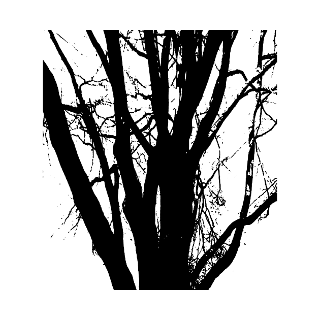 Tree, in black and white line drawing. by robelf