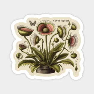 Vintage Venus Flytrap Botanical Magnet