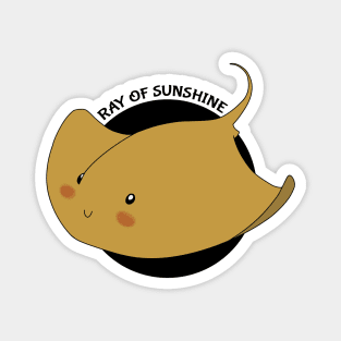 Ray of Sunshine Magnet