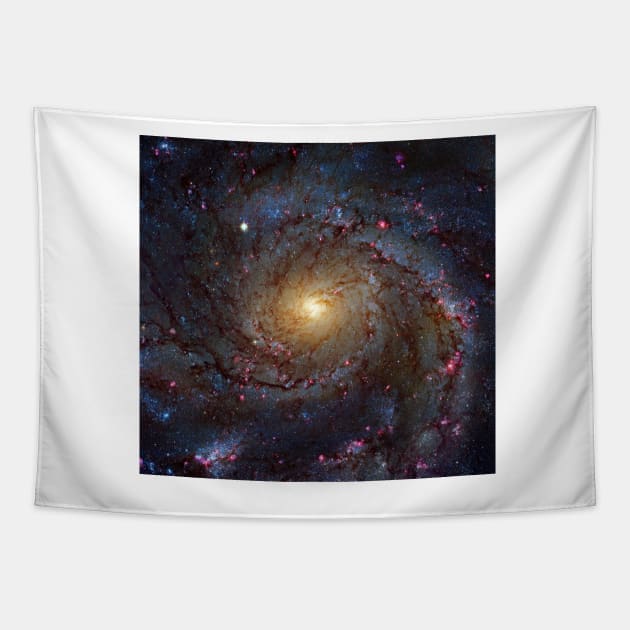 Pinwheel Galaxy, HST image (C030/0050) Tapestry by SciencePhoto