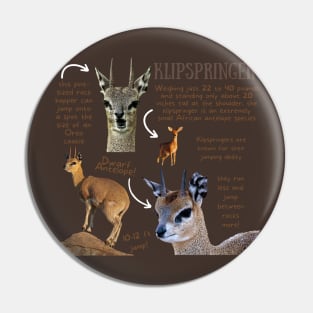 Animal Facts - Klipspringer Pin