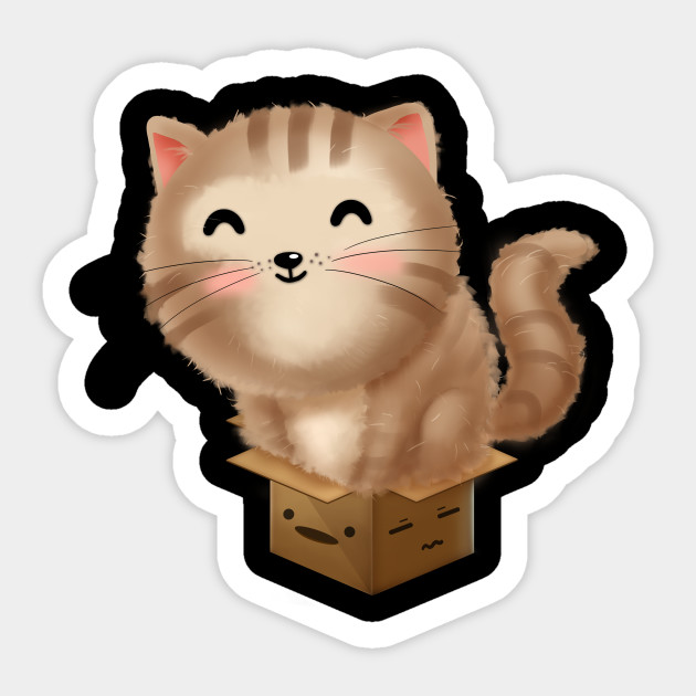 Cat Fits In Box Kitten Shirt Funny Cat Lover Kitten Fit In Box