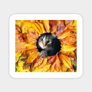 Autumn cat Magnet