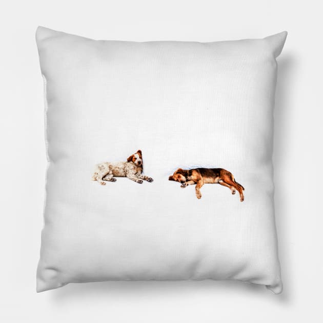 Lazy Days & Crazy Nights Pillow by tommysphotos