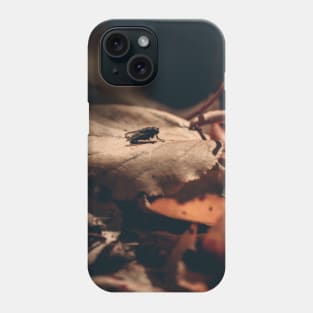 Autumn Leaves Fly Phone Case
