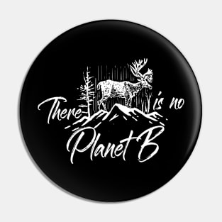 There Is No Planet, B Pin