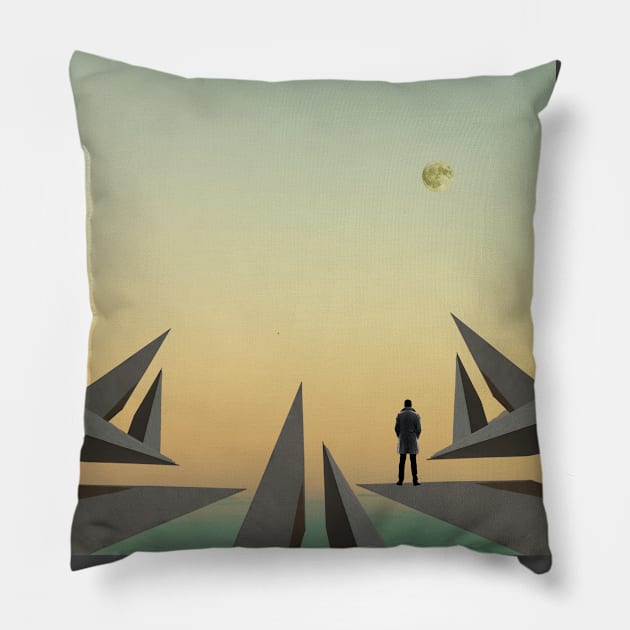 No time for caution. Pillow by Cemil Akbulut