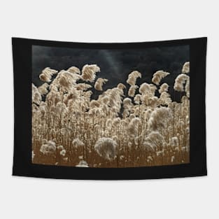 Wind and Light Tapestry