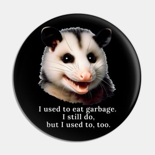 A possum comedian Pin