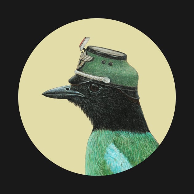 Hooded pitta by Mikhail Vedernikov