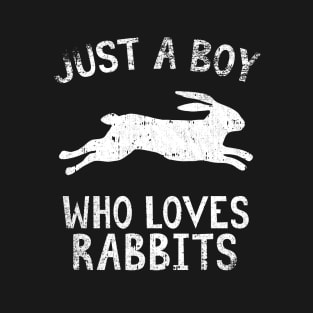 Just A Boy Who Loves Rabbits T-Shirt