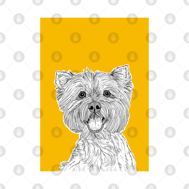 West Highland Terrier Dog Portrait ( yellow background ) by AdamRegester