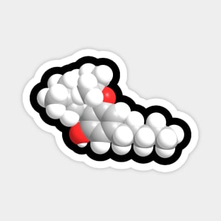 THC Molecule Chemistry Magnet