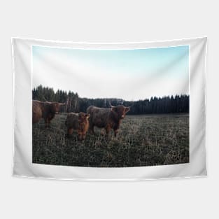 Scottish Highland Cattle Cows and Calf 1850 Tapestry