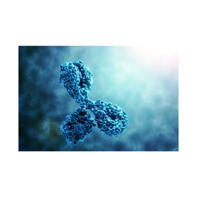 Antibody, illustration (C029/6004) by SciencePhoto