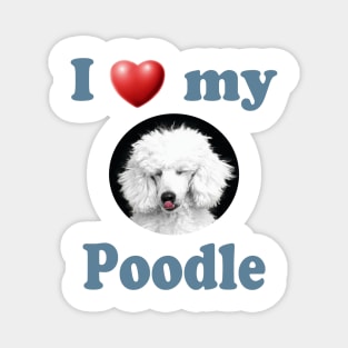 I Love My Poodle Magnet