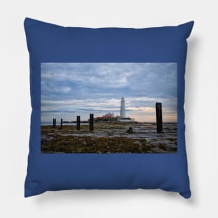 St Mary's Island Seaweed Pillow