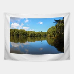 Clouds And Water Tapestry