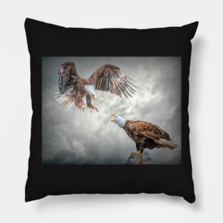 Squabbling Eagles Pillow