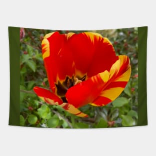 Beautiful Red and Yellow Tulip Tapestry