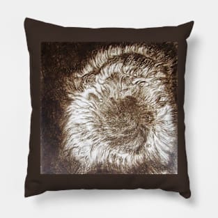 Star Birth Intaglio Print Pillow