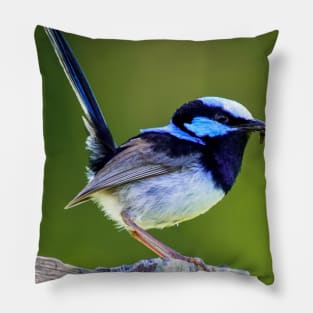 Australian Superb Fairy-Wren Pillow