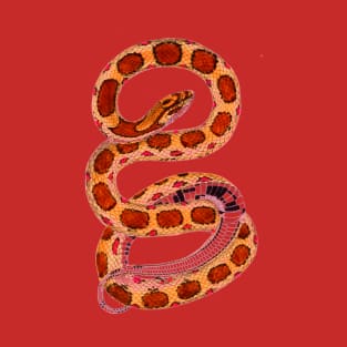 serpent,cobra,reptile,viper,venom,lizard,rattlesnake,king cobra,dragon,hydra,poison,venomous,plumber's snake,pythonidae,pythons,auger,python,squamata,serpentine,worm,big,ophidian,rattlesnakes,medusa,snakebite T-Shirt