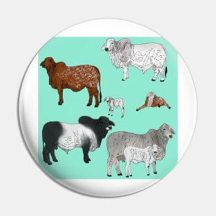 Brahman Cattle Seafoam Pin