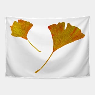 ginkgo biloba leaves in autumn Tapestry