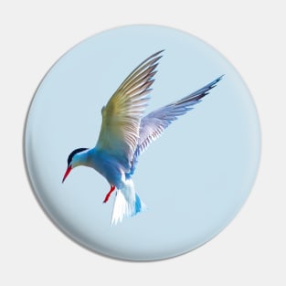 Hovering Tern Pin