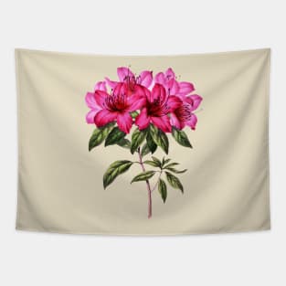 pink azalea flower Tapestry