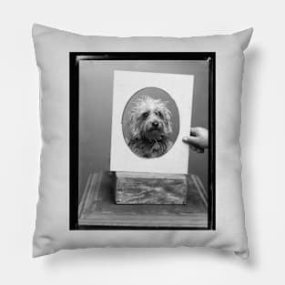 Vintage Dog Photography Pillow