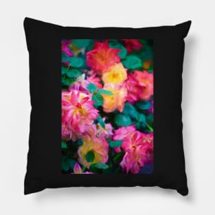 Rose 363 Pillow