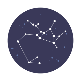 Sagittarius Constellation T-Shirt