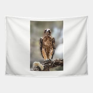 Little Eagle with Prey Tapestry
