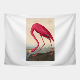 American Flamingo Robert Havell after John James Audubon 1838 Art Print Tapestry