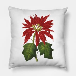 Vintage Christmas Poinsettia Plant Pillow