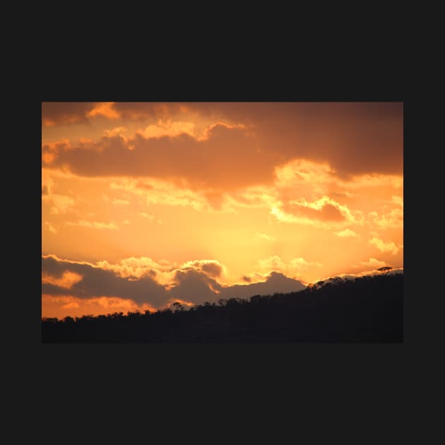 Dry Season Sunset, Serengeti National Park, Tanzania by Carole-Anne