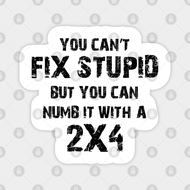 You Can't Fix Stupid But You Can Numb It With A 2X4 Magnet by Ray E Scruggs