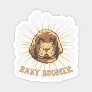 Baby Boomer Magnet