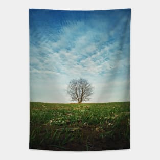 a tree in the spring field Tapestry