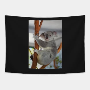 Australian Koala Bear Artwork Tapestry