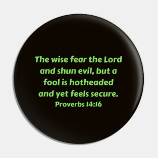 Bible Verse Proverbs 14:16 Pin